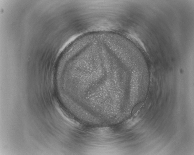 X0000057100108200510071947