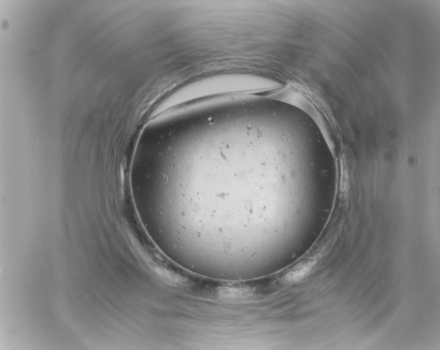 X0000057100109200510071947