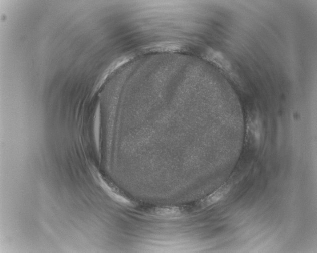 X0000057100110200510071947