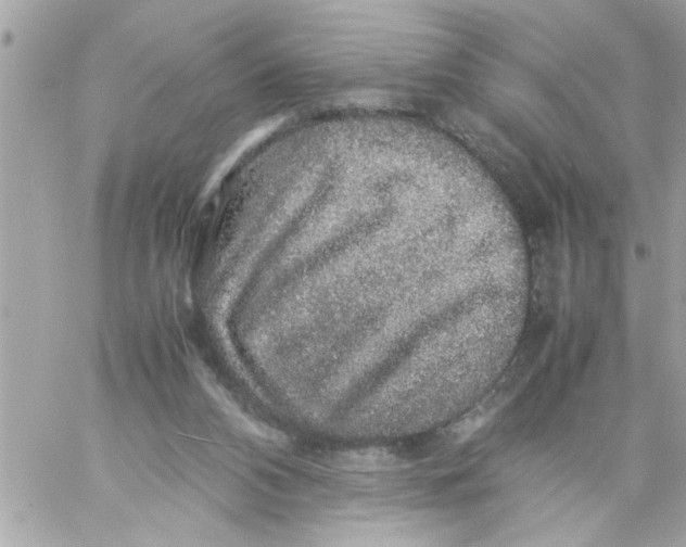 X0000057100112200510071947