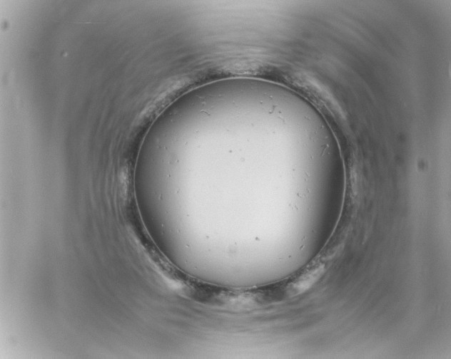 X0000057100113200510071947