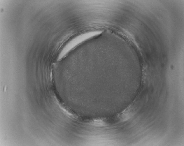 X0000057100114200510071947