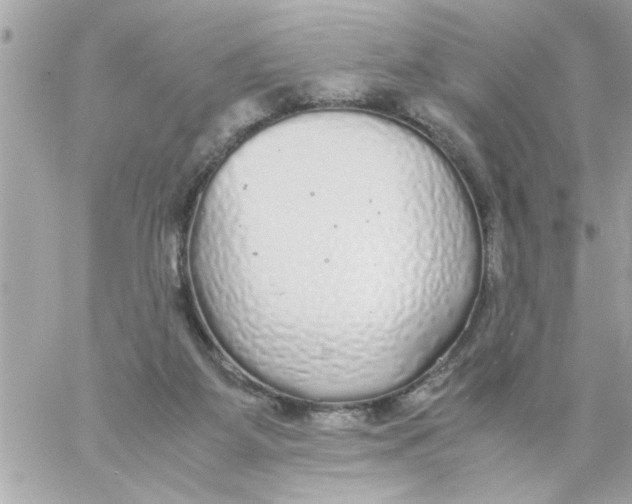 X0000057100115200510071947