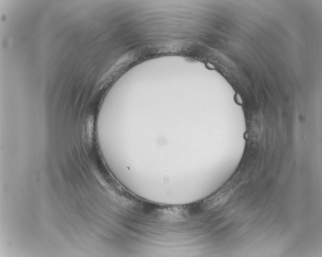 X0000057100118200510071947