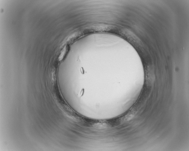 X0000057100119200510071947