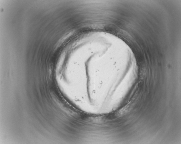 X0000057100120200510071947