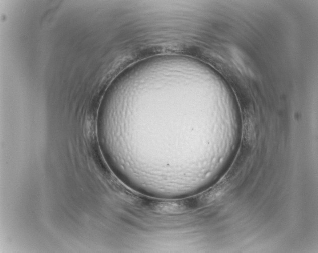 X0000057100123200510071947