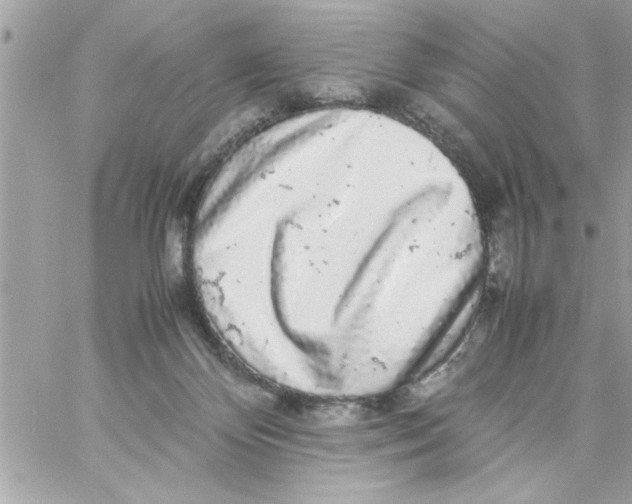 X0000057100124200510071947