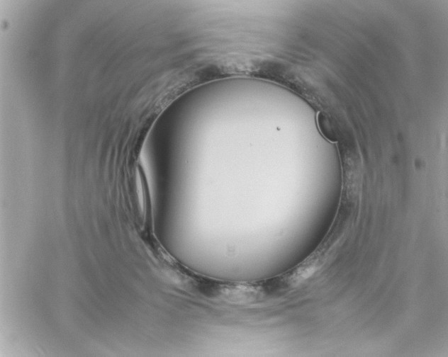 X0000057100125200510071947