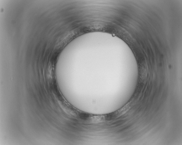 X0000057100126200510071947