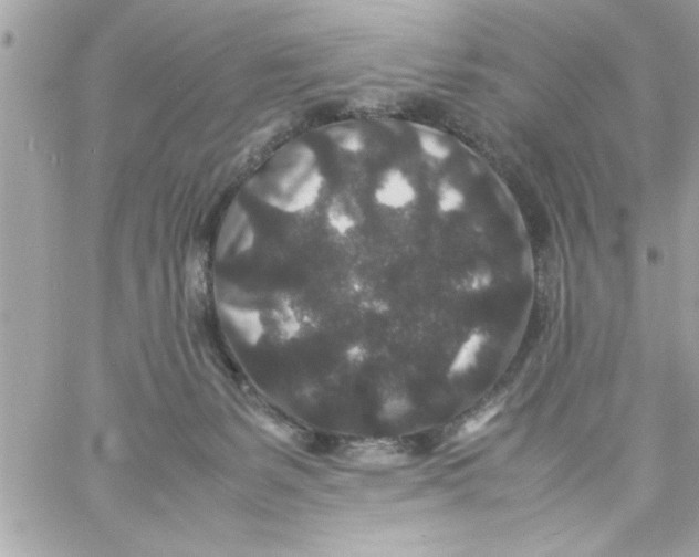 X0000057100127200510071947