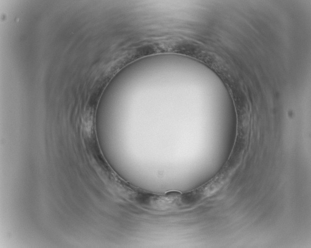 X0000057100129200510071947