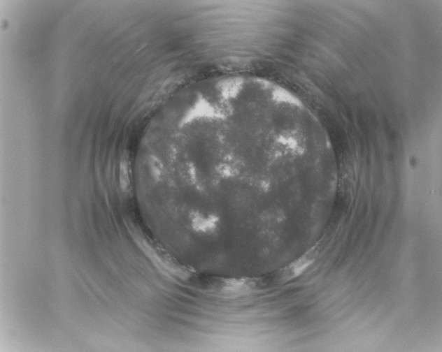 X0000057100130200510071947