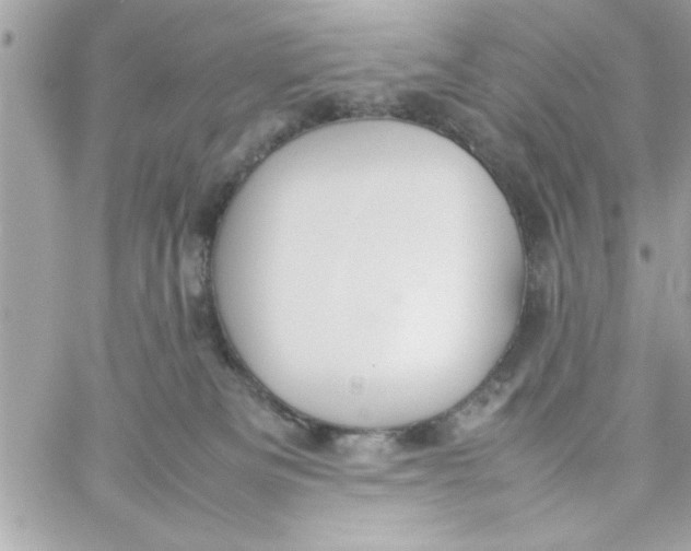 X0000057100133200510071947