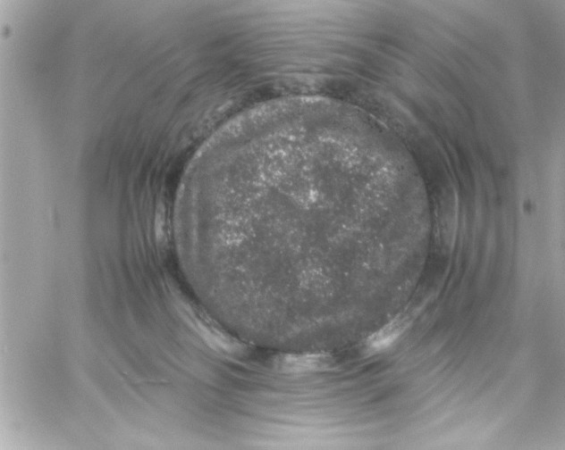 X0000057100134200510071947