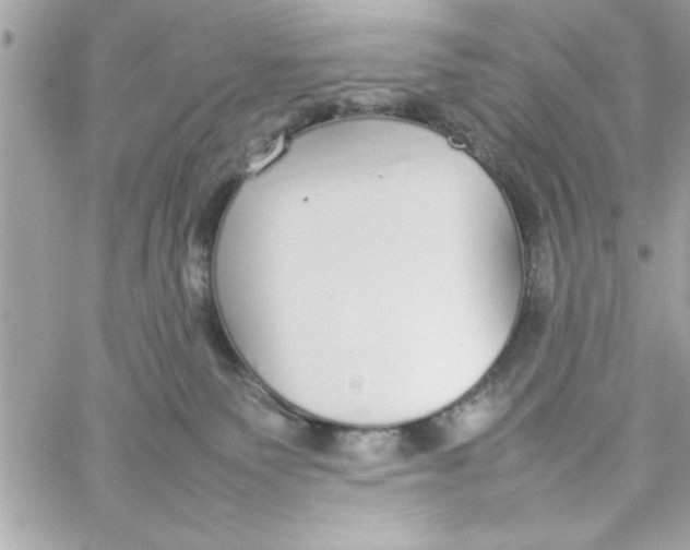 X0000057100135200510071947