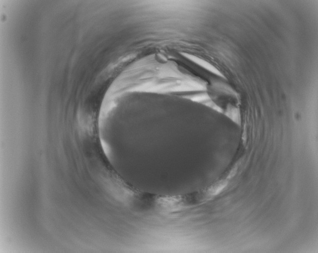 X0000057100139200510071947