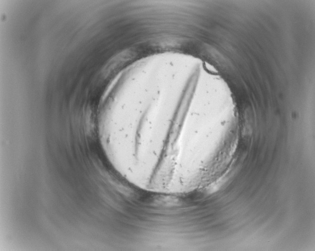 X0000057100140200510071947