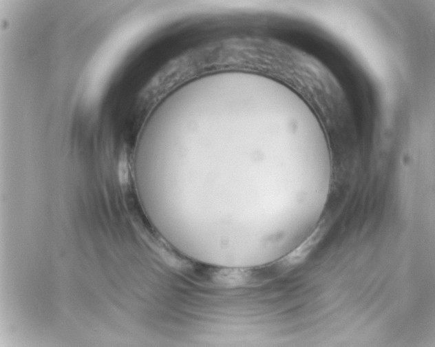 X0000057100142200510071947