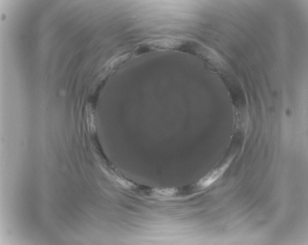 X0000057100143200510071947