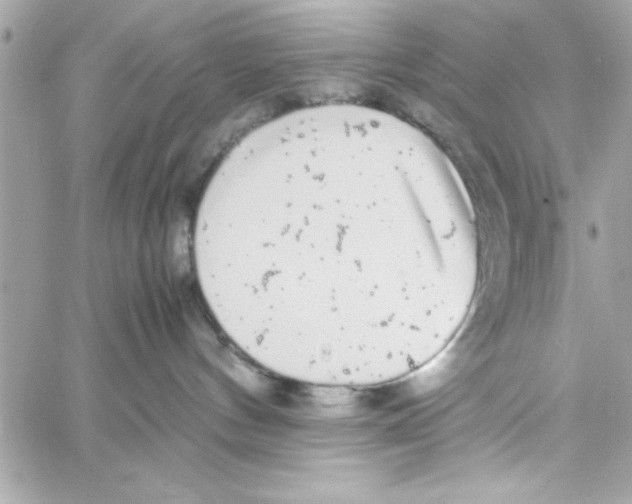 X0000057100144200510071947