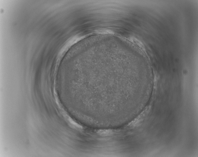 X0000057100145200510071946