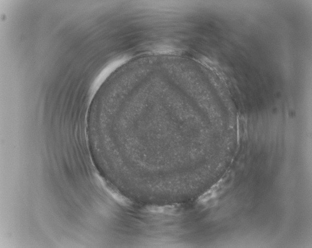 X0000057100147200510071946