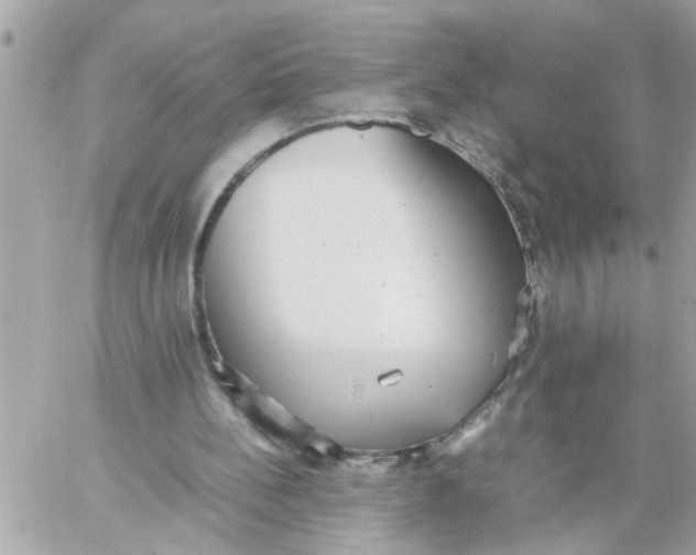 X0000057100148200510071946