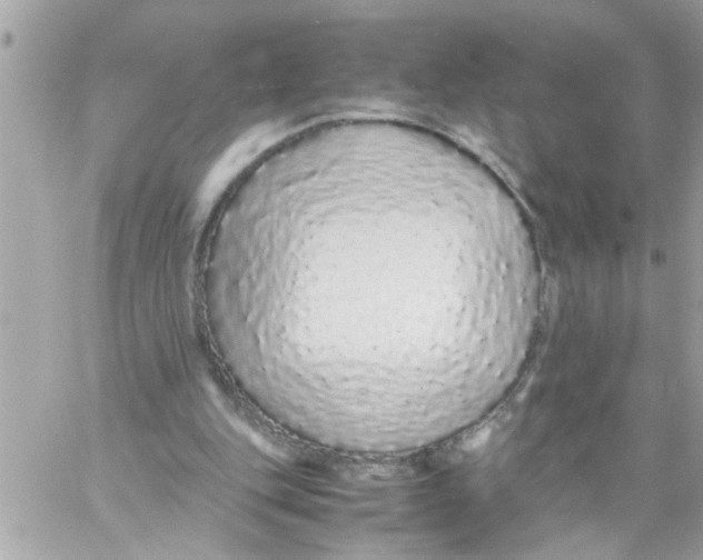 X0000057100151200510071946