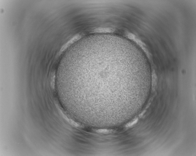 X0000057100153200510071946