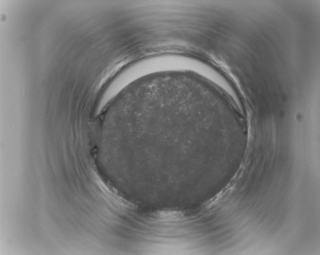 X0000057100154200510071946