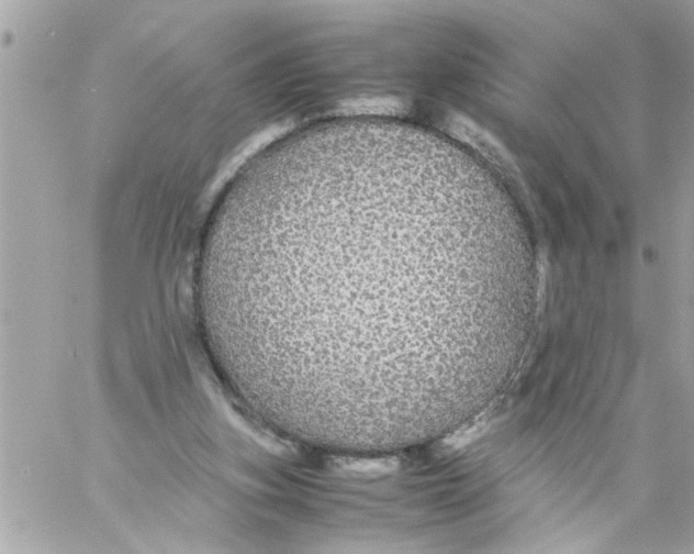 X0000057100155200510071946