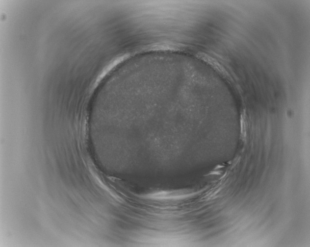 X0000057100156200510071946