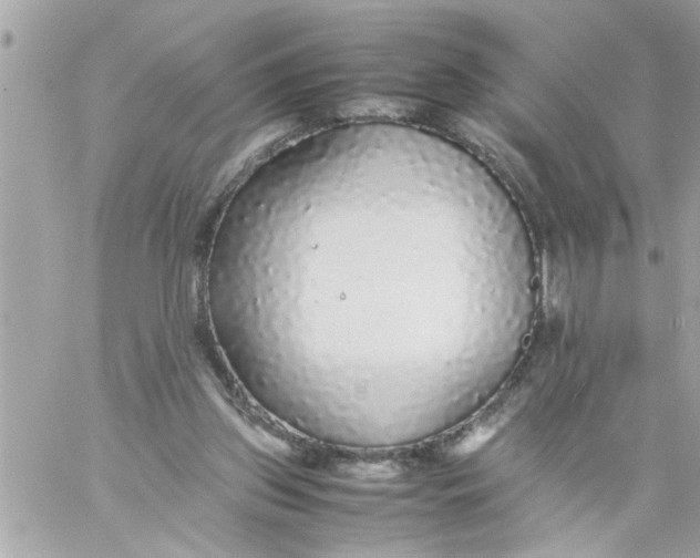 X0000057100157200510071946