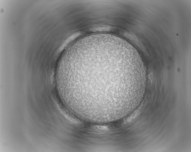 X0000057100159200510071946