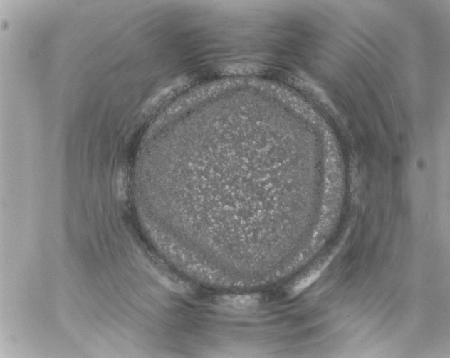 X0000057100161200510071946