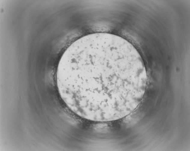 X0000057100162200510071946