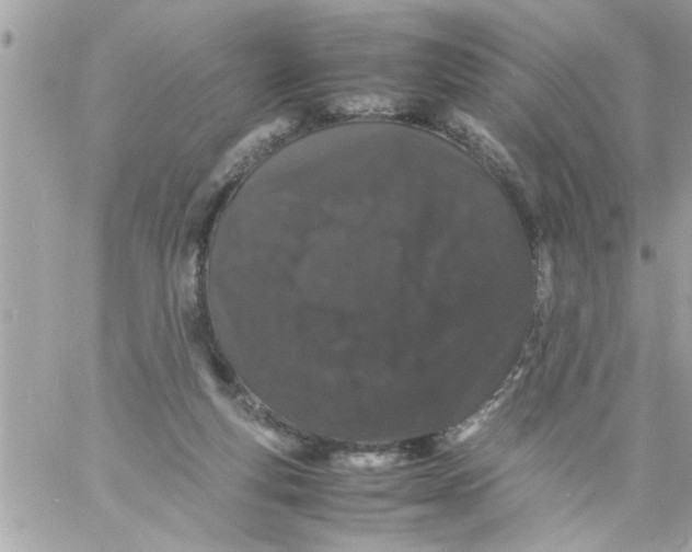 X0000057100163200510071946