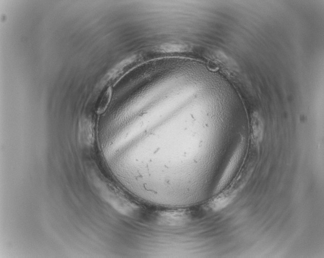 X0000057100164200510071946