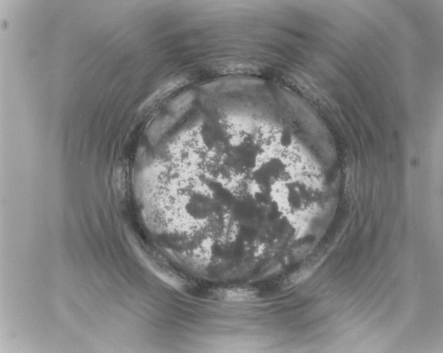 X0000057100165200510071946