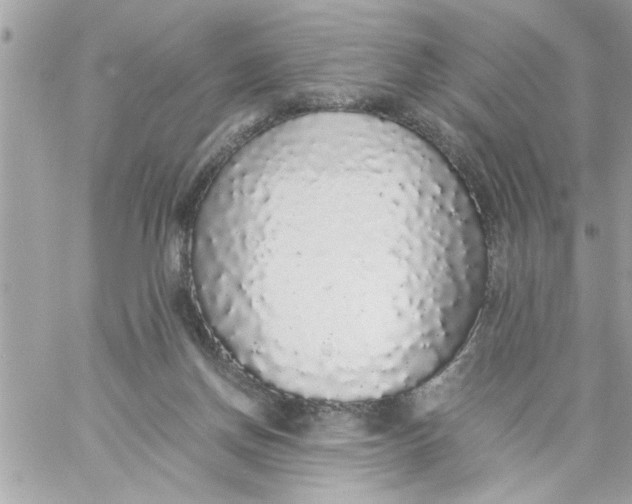 X0000057100166200510071946