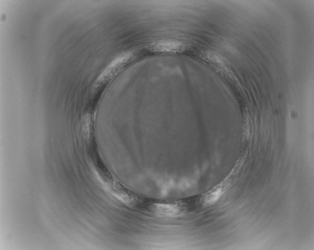 X0000057100167200510071946