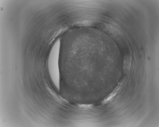 X0000057100168200510071946