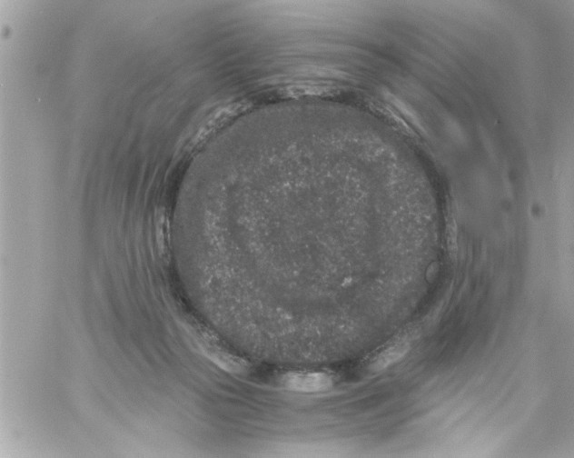 X0000057100169200510071946