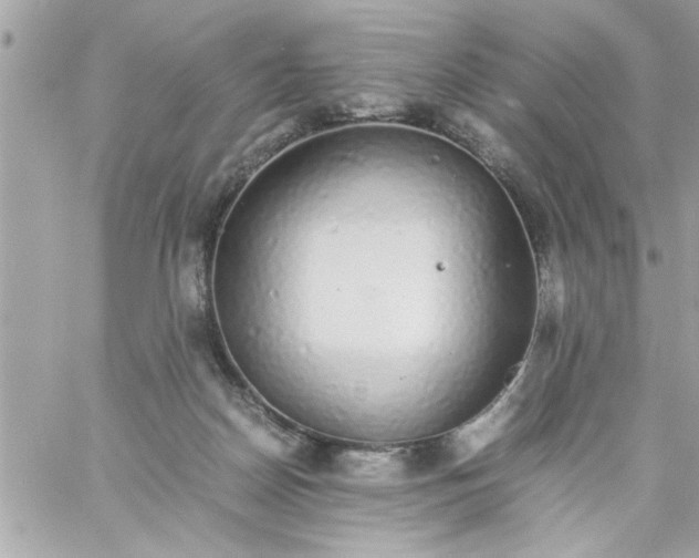 X0000057100170200510071946