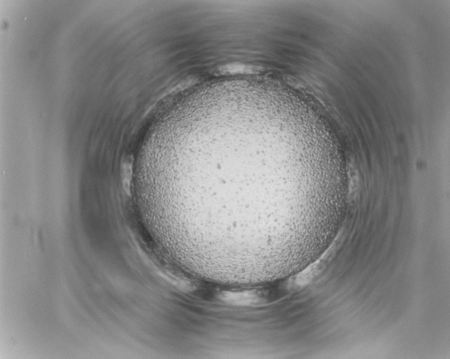 X0000057100171200510071946