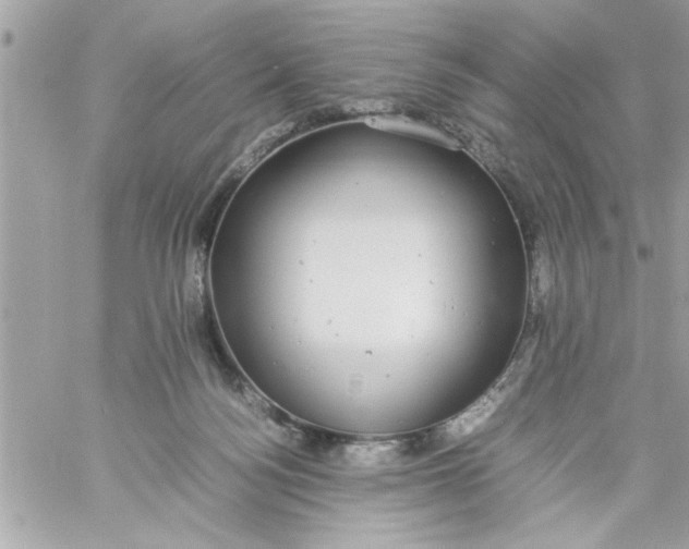 X0000057100172200510071946