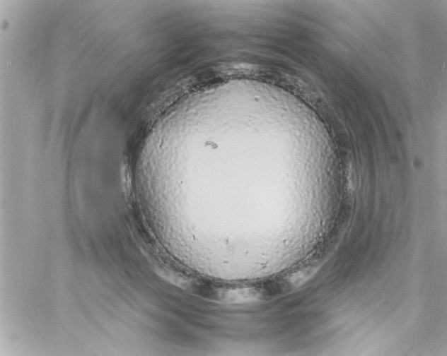 X0000057100173200510071946