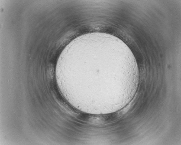 X0000057100174200510071946