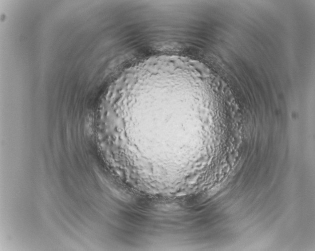 X0000057100175200510071946